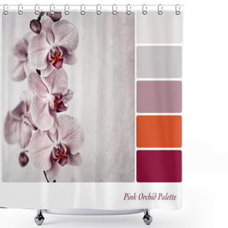 Personality  Pink Orchid Flowers Palette Shower Curtains
