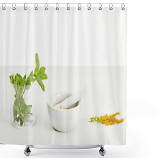 Personality  Mortar And Pestle Near Goldenrod Twig And Glass With Fresh Mint On White Background Shower Curtains