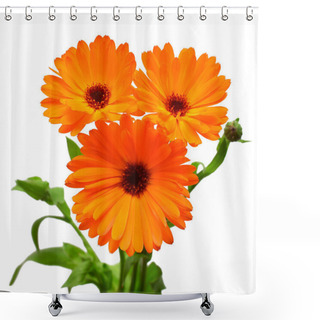 Personality  Flower Of Calendula Officinalis Bouquet With Leaves Isolated On White Background. Marigolds, Medicinal Plants. Golden Petals. Flat Lay, Top View. Floral Pattern, Object Shower Curtains