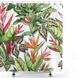 Personality  Beautiful Tropical Pattern With Strelitzia And Heliconia Flowers. Shower Curtains
