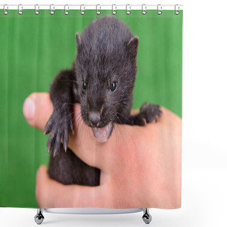 Personality  Small Animal Mink Shower Curtains
