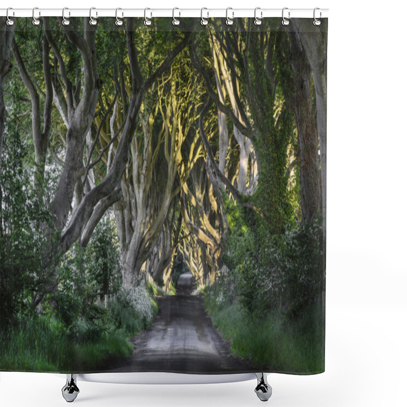 Personality  The Dark Hedges, N. Ireland Shower Curtains