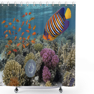 Personality  Coral Reef Underwater Panorama With School Of Colorful Tropical  Shower Curtains