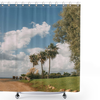 Personality  Sunlight On Green Palm Trees Near Grass Against Blue Sky With Clouds  Shower Curtains