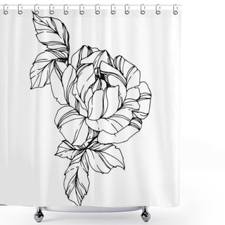Personality  Vector Rose. Floral Botanical Flower. Engraved Ink Art. Isolated Rose Illustration Element. Beautiful Spring Wildflower Isolated On White. Shower Curtains