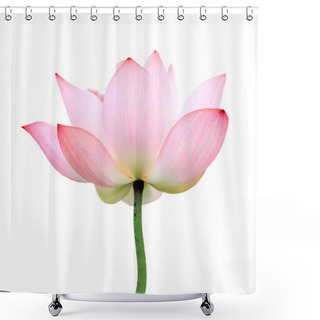 Personality  Isolated Lotus Shower Curtains
