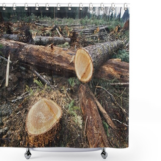 Personality  Cut Logs In Logging Area Shower Curtains