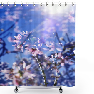 Personality  Multiple Exposure Of Almond Trees In Full Bloom Shower Curtains