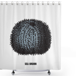 Personality  Engraving Vintage Sea Urchin. Shower Curtains