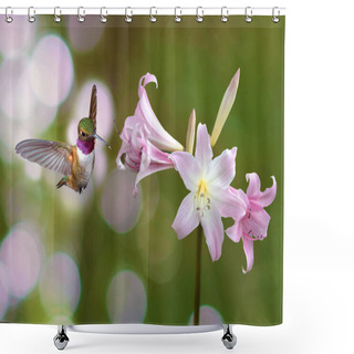 Personality  Hummingbird Hovers Delicately Over A Swamp Lily Flowers Against A Serene Summer Background  Shower Curtains