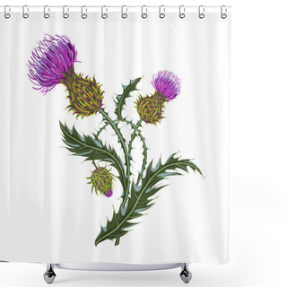 Personality  Hand Drawn Composition Of A Thistle Flower. Milk Thistle Isolated On White. Shower Curtains