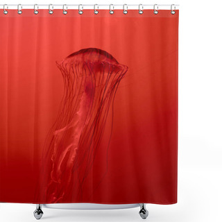 Personality  Japanese Sea Nettle Jellyfish On Red Background Shower Curtains