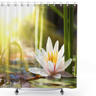 Personality  Water Lily Shower Curtains