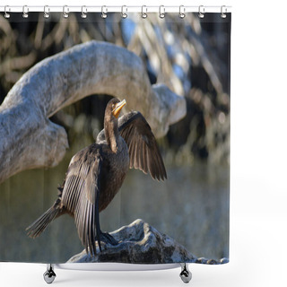 Personality  Funny Double Crested Cormorant Bird Shower Curtains