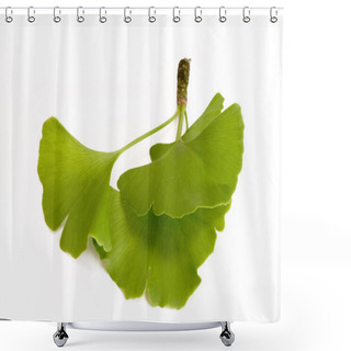 Personality  Three Ginkgo Leaves Shower Curtains