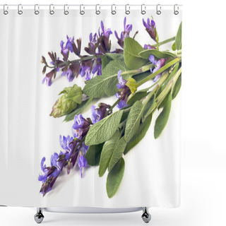 Personality  Sage Over White Shower Curtains