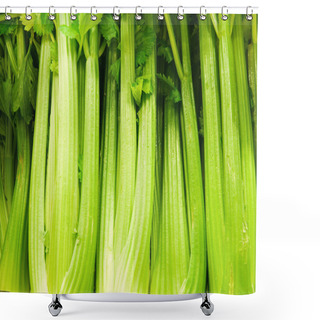 Personality  Celery Stalks Shower Curtains