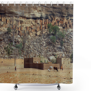 Personality  Dogon Child And Cattle In Front Of Village Shower Curtains