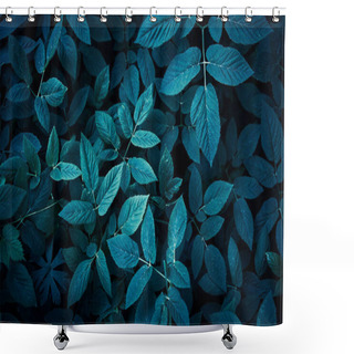 Personality  Trend Dark Blue Background With Leaves. Plant In Shadow. Copyspace For Design Shower Curtains