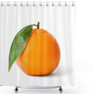 Personality  Isolated Fresh Mandarin Shower Curtains