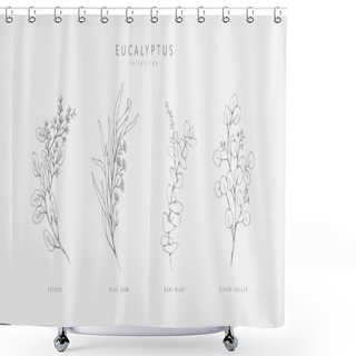 Personality  Floral Branches Of Different Types Of Eucalyptus, Silver Dollar, Baby Blue, Blue Gum, Seeded. Hand Drawn Wedding Herb With Elegant Leaves Shower Curtains