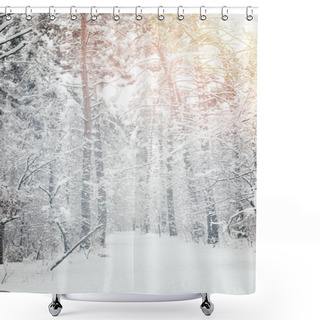 Personality  Scenic View Of Snowy Trees In Winter Forest Shower Curtains