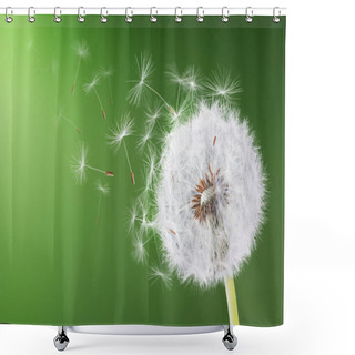 Personality  Dandelion Flying On Green Background Shower Curtains