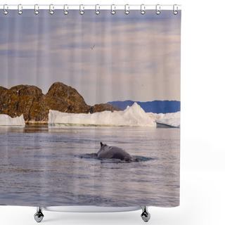 Personality  Greenland Ilulissat Glaciers At Ocean With Floating Whales And Tails Shower Curtains