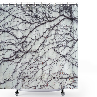 Personality  Branches Of Plants On A Wall Shower Curtains