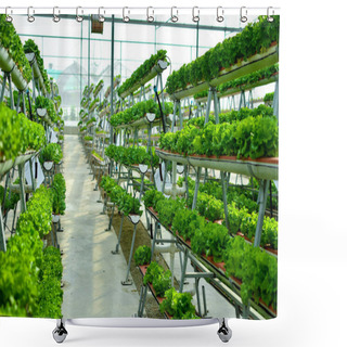 Personality  Hydroponic Vertical Farming Systems Shower Curtains