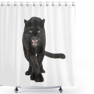 Personality  Black Leopard (6 Years) Shower Curtains