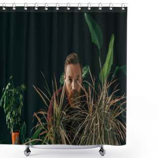 Personality  Bearded Man In Jumper Looking At Camera Near Tropical Plants Isolated On Black  Shower Curtains