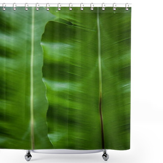Personality  Close-up Shot Of Green Banana Leaves As Background Shower Curtains