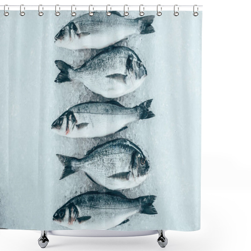 Personality  top view of fresh gourmet uncooked seafood on ice  shower curtains