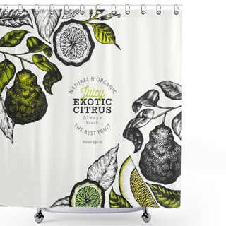 Personality  Bergamot Branch Design Template. Kaffir Lime Frame. Hand Drawn Vector Fruit Illustration. Vintage Citrus Background. Shower Curtains