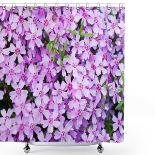 Personality  Spring Bloom Shower Curtains