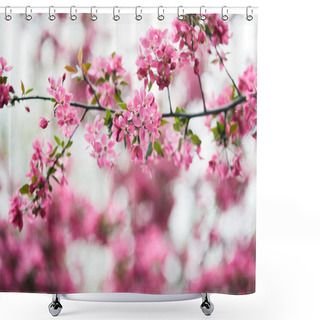Personality  Close-up Shot Of Branch Of Aromatic Pink Cherry Flowers On Tree Shower Curtains
