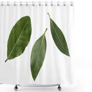 Personality  Three Leaves Of Laurel On A White Background Shower Curtains