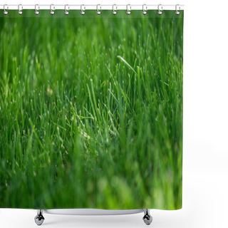 Personality  Full Frame Of Empty Green Grass Background Shower Curtains
