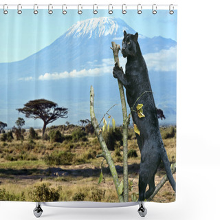 Personality  Leopard In The Savannah Shower Curtains