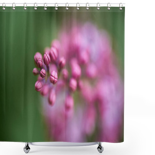 Personality  Selective Focus Of Beautiful Blooming Lilac Branch, Close-up View Shower Curtains