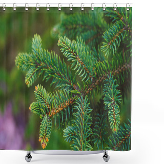 Personality  Detailed View Of A Single Pine Tree Branch, Showcasing The Needles, Bark Texture, And Small Pine Cones Against A Soft Background. Shower Curtains