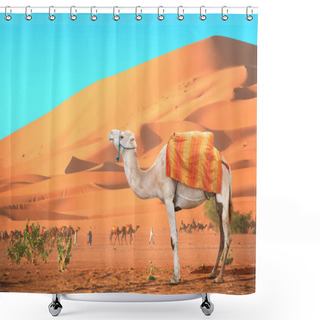 Personality  Caravan Of Camels In Sahara Desert, Morocco Shower Curtains
