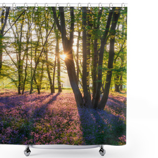 Personality  Stunning Majestic Spring Bluebells Forest Sunrise In English Countryside Hyacinthoide Non-Scripta Shower Curtains