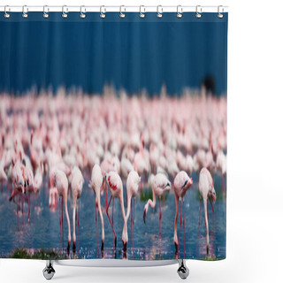 Personality  Flamingos At Lake Nakuru, Kenya Shower Curtains