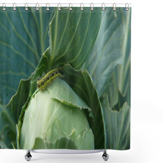 Personality  Caterpillar Worm, Nature Insect  Shower Curtains