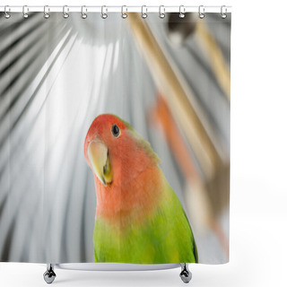 Personality  Rosy Faced Lovebird In A Cage Shower Curtains