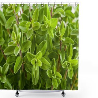 Personality  Marjoram Shower Curtains