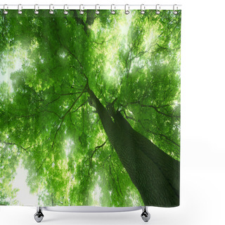 Personality  Forest In Summer Shower Curtains