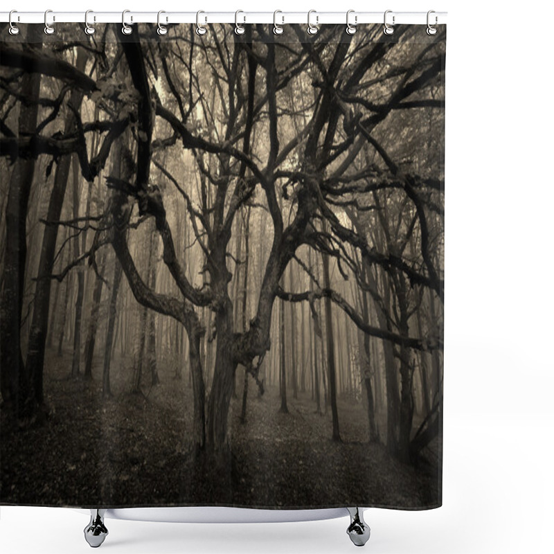Personality  Dark tree in a forest with fog shower curtains